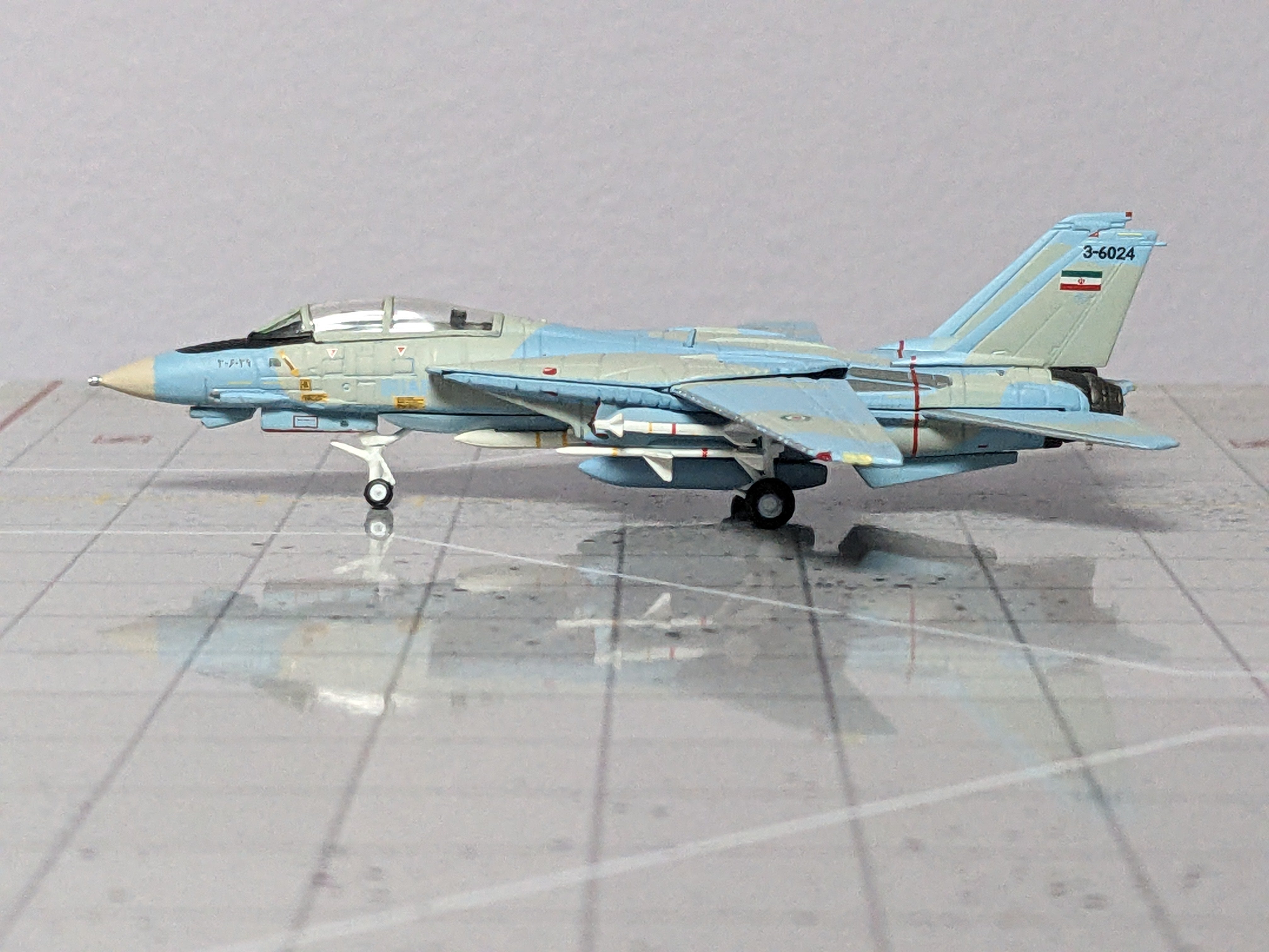1:200 HOGAN IRAN F-14A TOMCAT "ALI CAT"